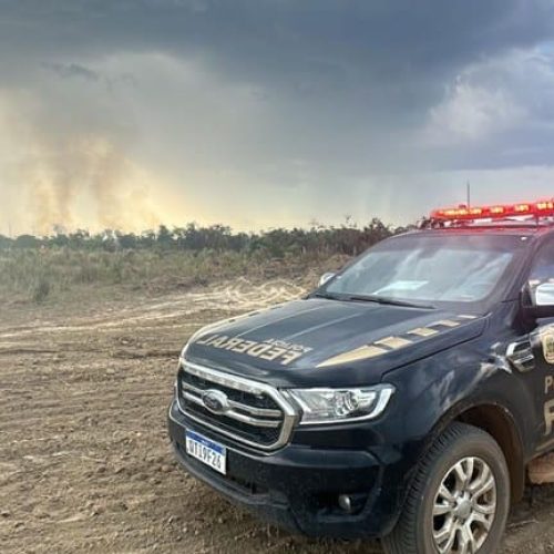 PF faz operação contra garimpo e extração de madeira em terra indígena e bloqueia R$ 12 milhões