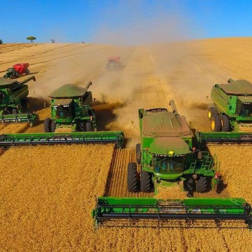 PGE e Defaz bloqueiam mais de R$ 230 milhões de grupo do agro em MT por sonegação fiscal