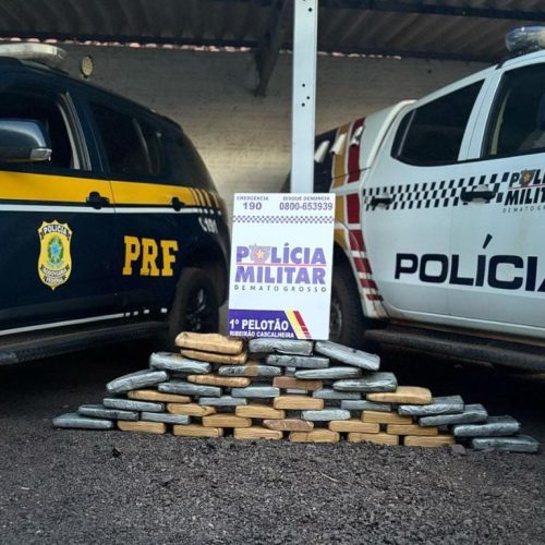PM apreende 115 quilos de drogas e prende 8 pessoas por tráfico de drogas em MT