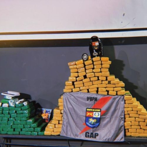 PM apreende 250 quilos de maconha dentro de residência que seria distribuída nas bocas de fumo