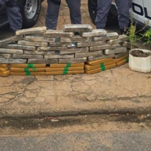 PM apreende 49 quilos de maconha avaliada em R$ 600 mil em residência