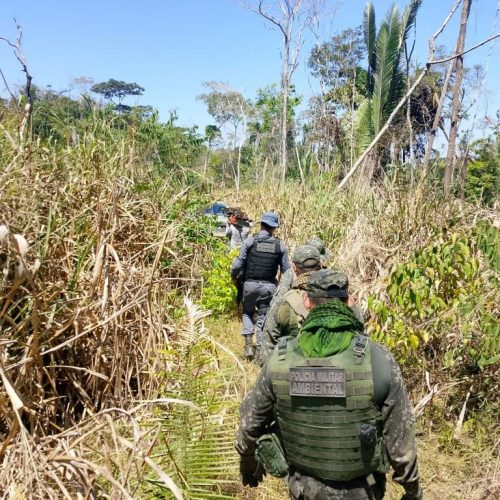 PM fecha área de desmate ilegal em fazenda e prende três homens em flagrante