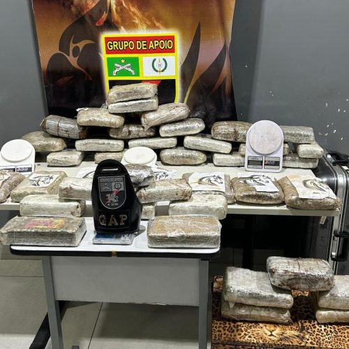 PM preende 41 tabletes de supermaconha e prende três homens por tráfico
