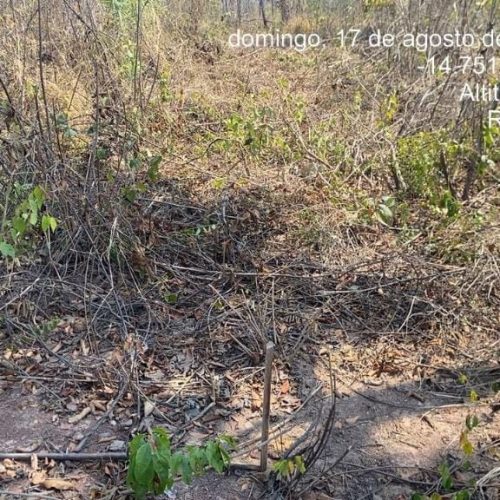 PM prende cinco pessoas por desmatamento ilegal em área de reserva ambiental