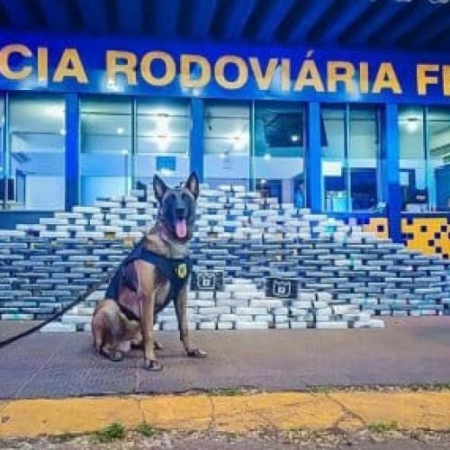 PRF encontra 400 kg de cocaína e 100 munições escondidos em caminhão