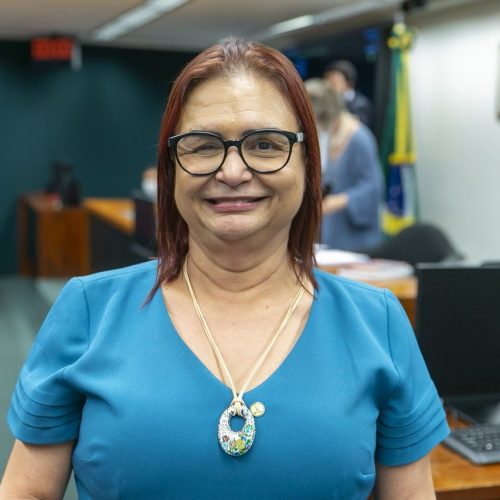 PT já estuda nomes para Câmara Federal e aposta em Rosa Neide para o Senado