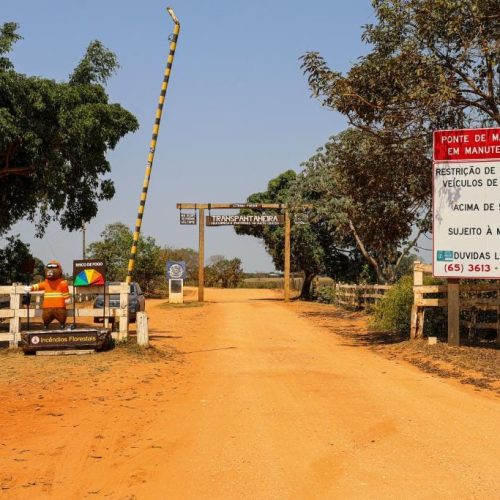 Parceria entre bombeiros e comunidade reduz focos de calor em 95% no Pantanal
