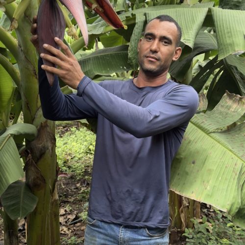 Pequenos agricultores podem receber até R$ 28 mil por ações que preservem floresta