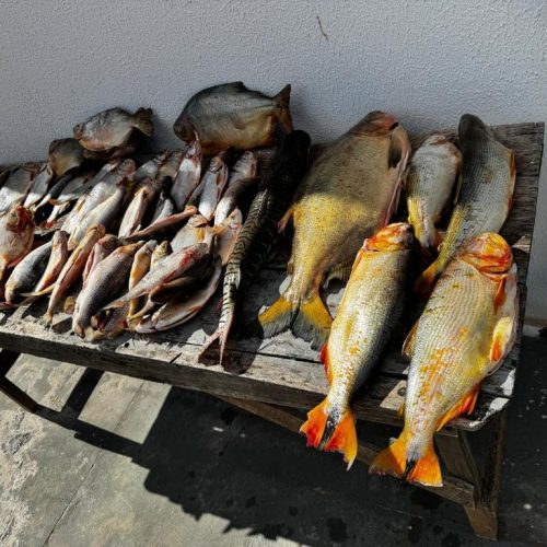 Pescador profissional que comercializava pescado irregular é preso em VG