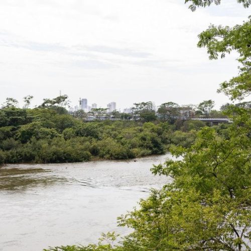 Pescadores e comércio devem declarar estoque pesqueiro até a próxima sexta-feira