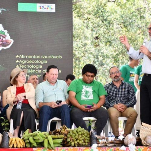 Plano Safra 2025/2026 é lançado em Mato Grosso e Goiás com recorde de recursos para a agricultura familiar