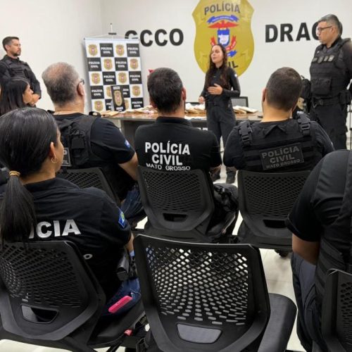 Polícia Civil desarticula bando que movimentou R$ 100 milhões com drogas
