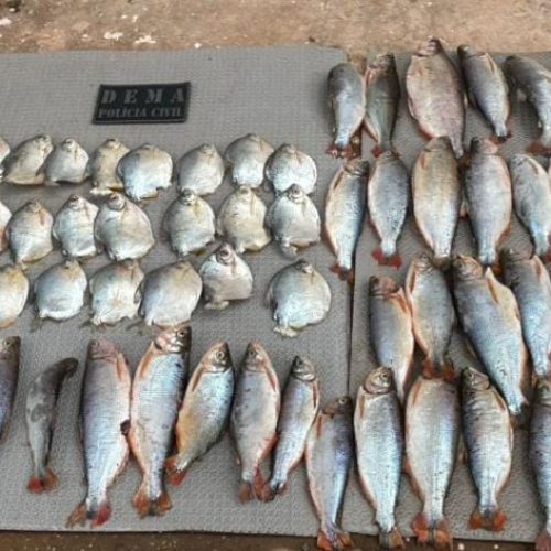 Polícia Civil e Sema combatem pesca ilegal e prendem um pescador em flagrante