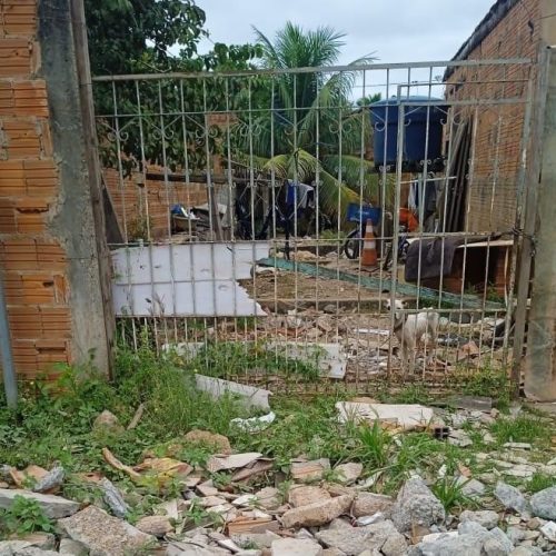 Polícia Civil prende tutor de cães abandonados sem água e comida em Várzea Grande