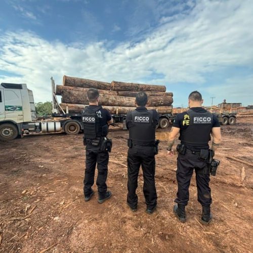 Polícia Federal deflagra operação Mykyara II contra desmatamento em território indígena no Mato Grosso