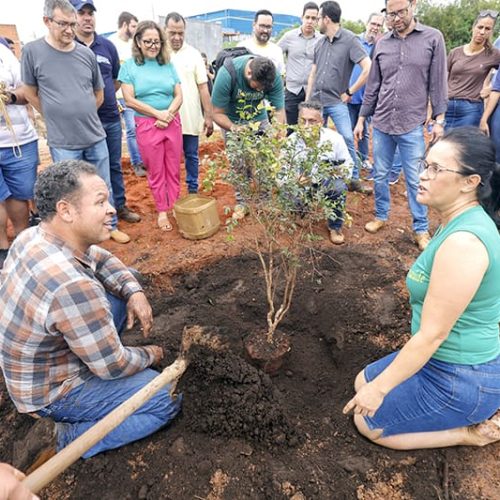 RONDONOPOLIS: Presente de aniversário: Cidade ganha primeiro pomar urbano com jabuticabeiras