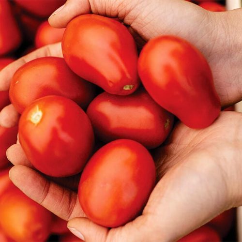 Preço da cesta básica tem novo aumento, chega a R$ 830 e bate recorde em Cuiabá