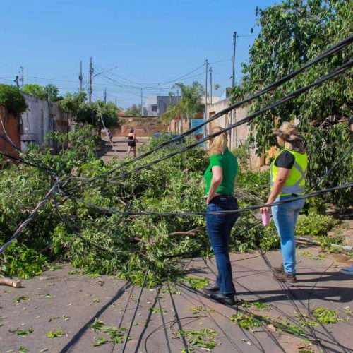Prefeita decreta situação de emergência após temporal com ventos de até 100 kg atingir 100 famílias