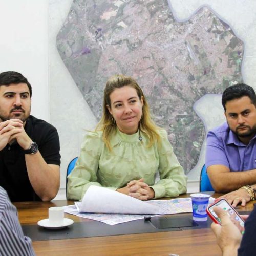 Prefeita recebe deputado federal e pede apoio para destravar recursos para VG