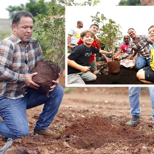 RONDONOPOLIS: “Minha Praça”: Cláudio anuncia começo do programa que permite adoção de áreas verdes