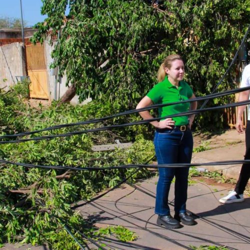 Prefeitura decreta situação de emergência após vendaval que atingiu diversos bairros em VG