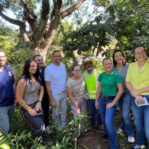 Prefeitura deve construir novo parque municipal em área cedida pela Empaer