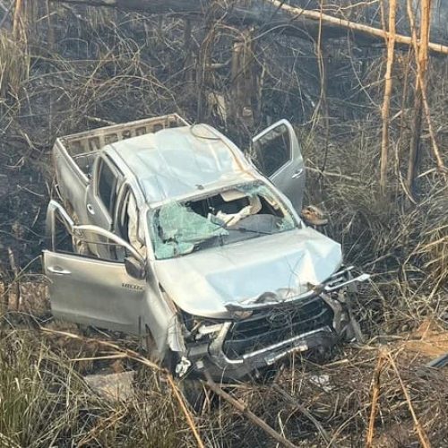 Produtor rural, filho de ex-prefeito morre após árvore atingir caminhonete em fazenda no Nortão