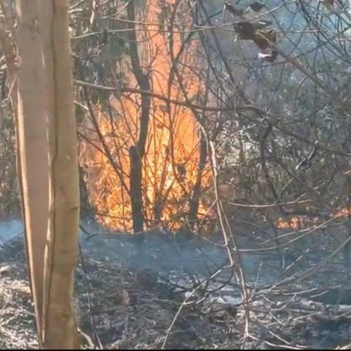 Produtores rurais da Serra de São Vicente se mobilizam para combater incêndios
