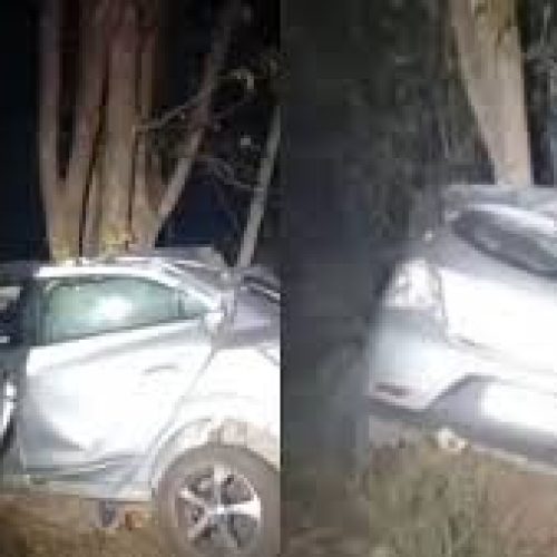 Professor da rede estadual e mulher morrem após carro bater em árvore em rodovia de MT