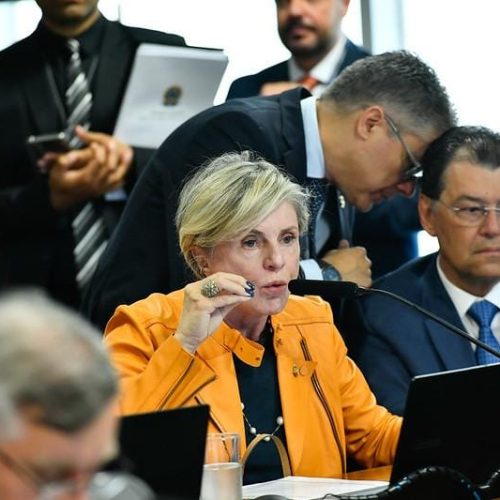 Projeto de Margareth Buzetti facilita regularização ambiental de pequenas propriedades rurais