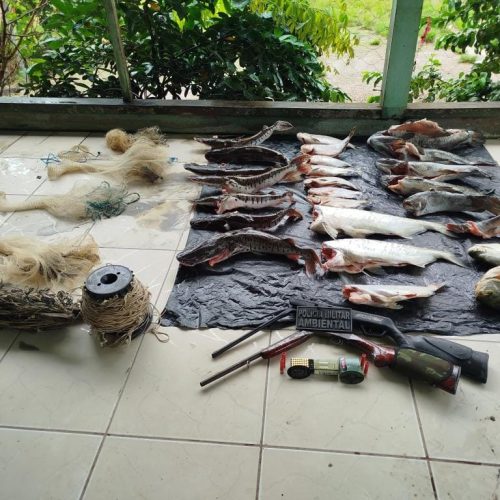 Proprietário de restaurante é preso com 50 quilos de pescado irregular em Mato Grosso