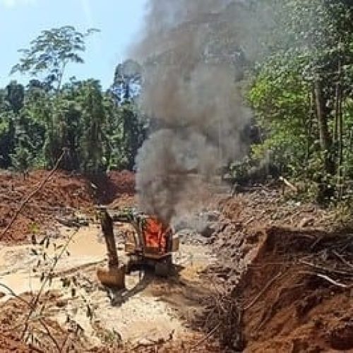 Quatro caciques são denunciados pelo MPF por garimpo ilegal e extração de madeira em MT