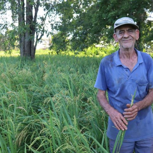 INSCRIÇÕES ABERTAS: Programa REM MT abre editais com R$18,6 milhões para agricultura familiar e povos indígenas