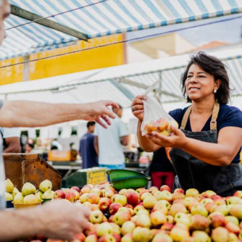 Saleswoman delivering fruits to customer on a street market