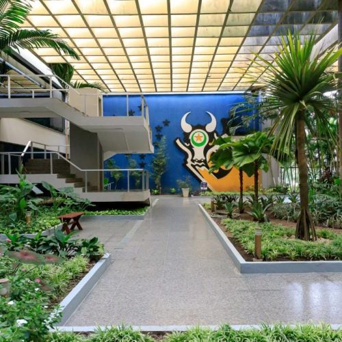 Redução de impostos em Mato Grosso ajuda a impulsionar a economia local