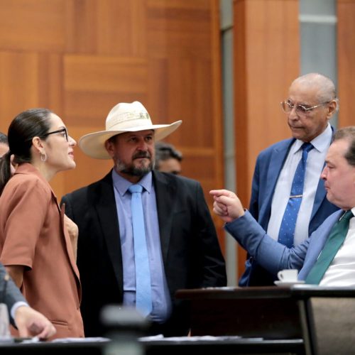 Relatório final aponta atuação de facções criminosas na organização de invasões urbanas e rurais em MT