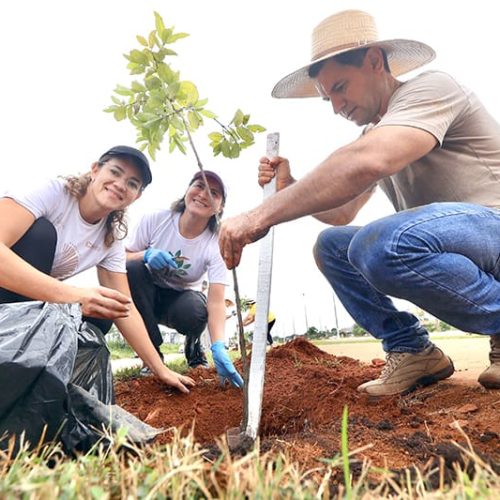RONDONOPOLIS: Replantio de árvores | Bloqueio na serra | Natal do amor | Assembleia | Sentinelas do amanhã