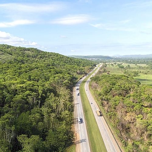 Movimento no feriado | Venda homologada | O que abre e fecha | Fiscalização reforçada