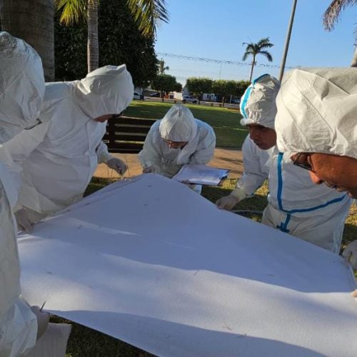 SES investiga de casos de dermatite e identifica ácaro em praças, parques e pistas