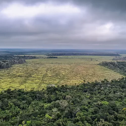 STF suspende trechos de PEC que restringia novas unidades de preservação ambiental