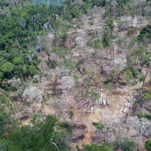 STJ determina que ‘barões do agro’ paguem multa social por desmate na Amazônia de MT