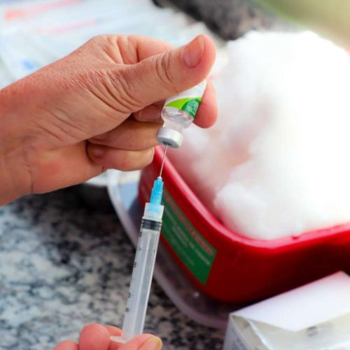 Saúde alerta para baixa procura da vacina contra gripe pela população de VG