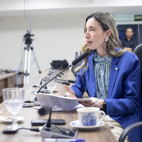 Secretária de Ordem Pública quer poder de fiscalização sobre a Energisa
