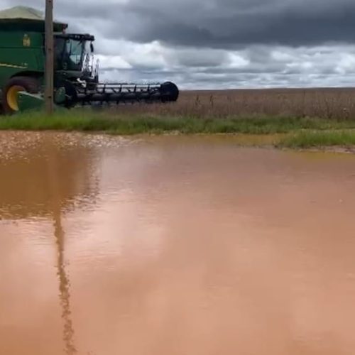 Seguradora terá que indenizar produtor por perda de safra causada por excesso de chuvas