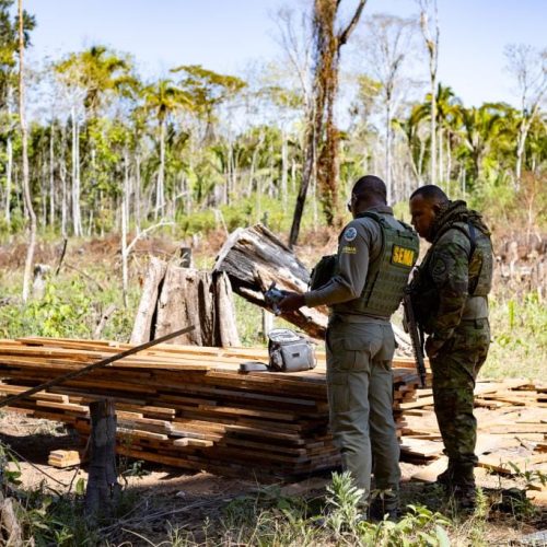 Sema deflagra 127 operações contra crimes ambientais e aplica R$ 1,3 bilhão em multas