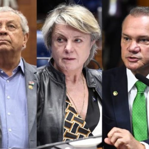 Senadores de MT votam a favor de PL que cria regras contra adultização nas redes sociais