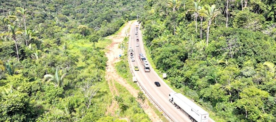 TRANSITO: Pare e Siga na serra | Prioridades | Suspeita de clonagem | Estágio