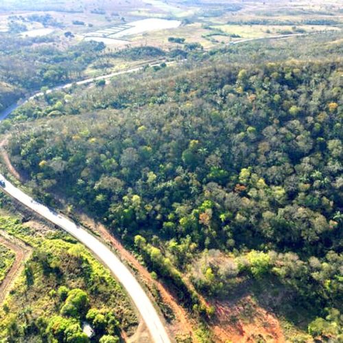 GERAL RONDONOPOLIS: Meia pista | “Manto Protetor” | Mutirão Justiça Eleitoral | Idosa presa em Jaciara