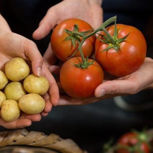 Setembro começa com cesta básica mais cara; batata e tomate puxam alta