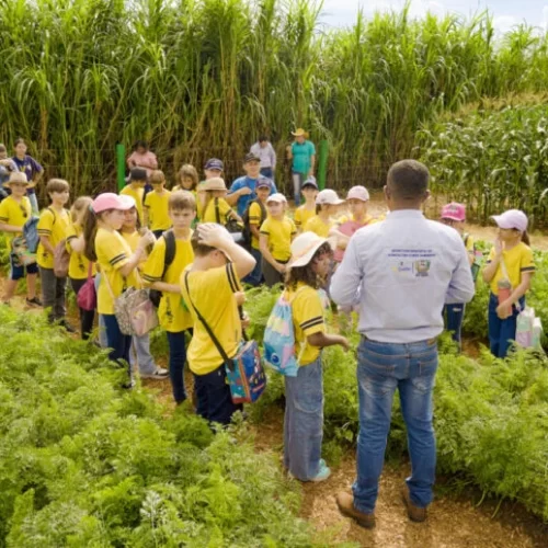 Show Safra Agro 360° reforça protagonismo da agricultura familiar